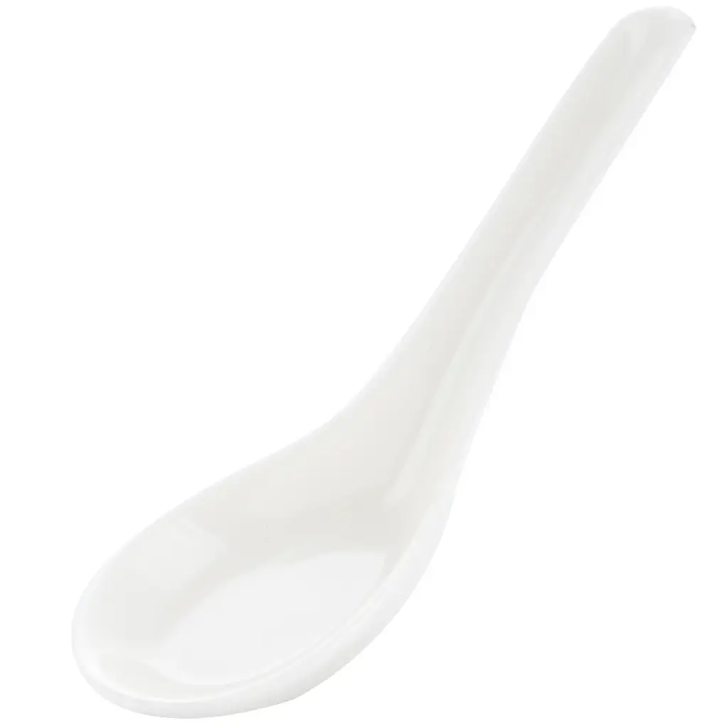 5" Porcelain Spoon