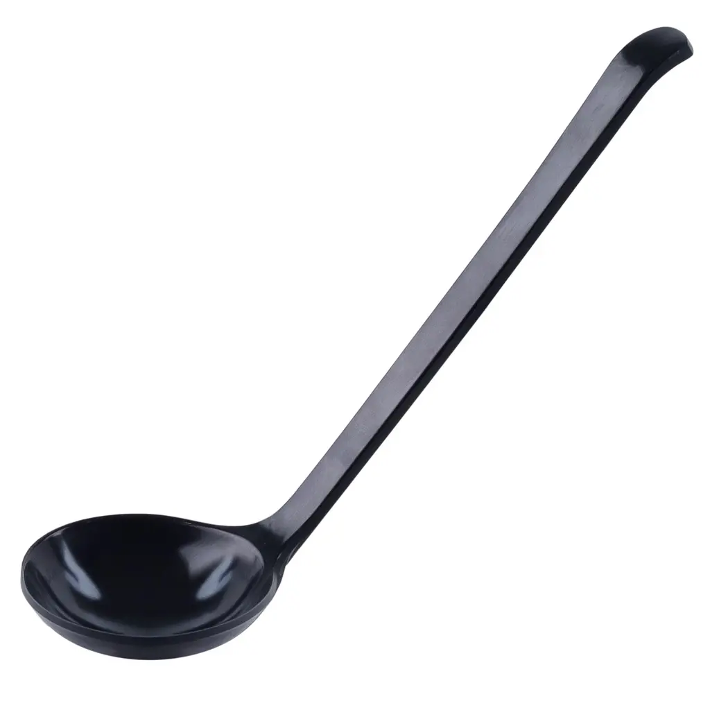 Black Ladle 21.2x5.8 cm