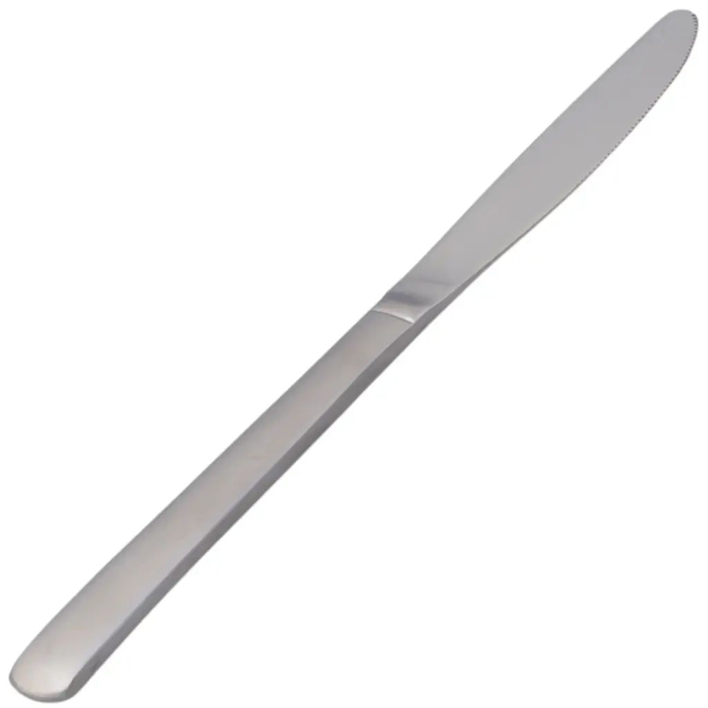 Dining Knife 200 mm (Japan Line)