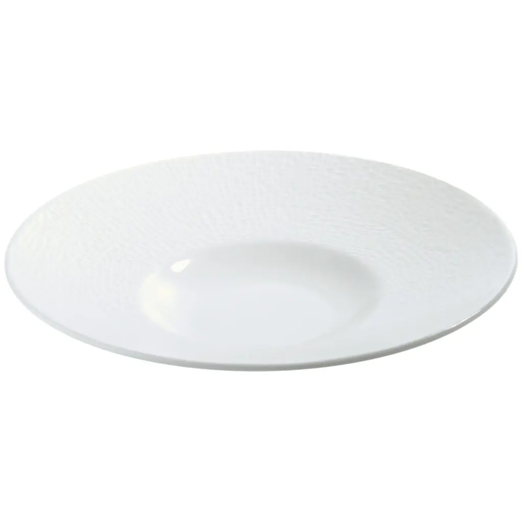 磁器 パスタ皿 10" (青磁縁)