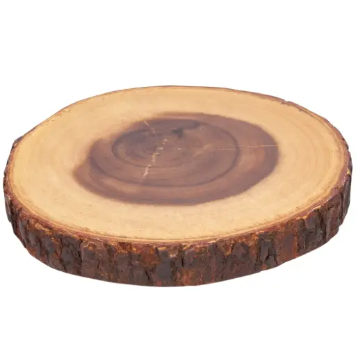 [WOD0066] Bark-Rimmed Round Wooden Plate 11.5"