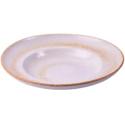 [CRM0694] 麺皿 10.25" (天正)