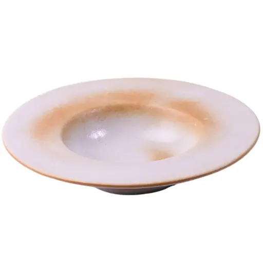 [CRM0695] スープ皿 9" (天正)