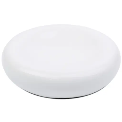 [CRM1060] Deep Well Plate with Thick Rim 9.5" (White)