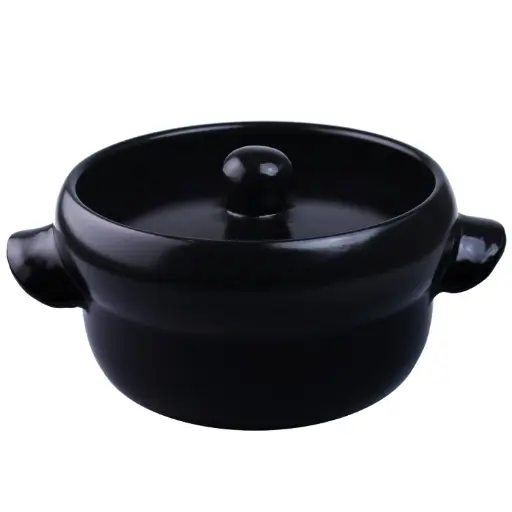 [KJP0940] Shigaraki Donabe Clay Pot